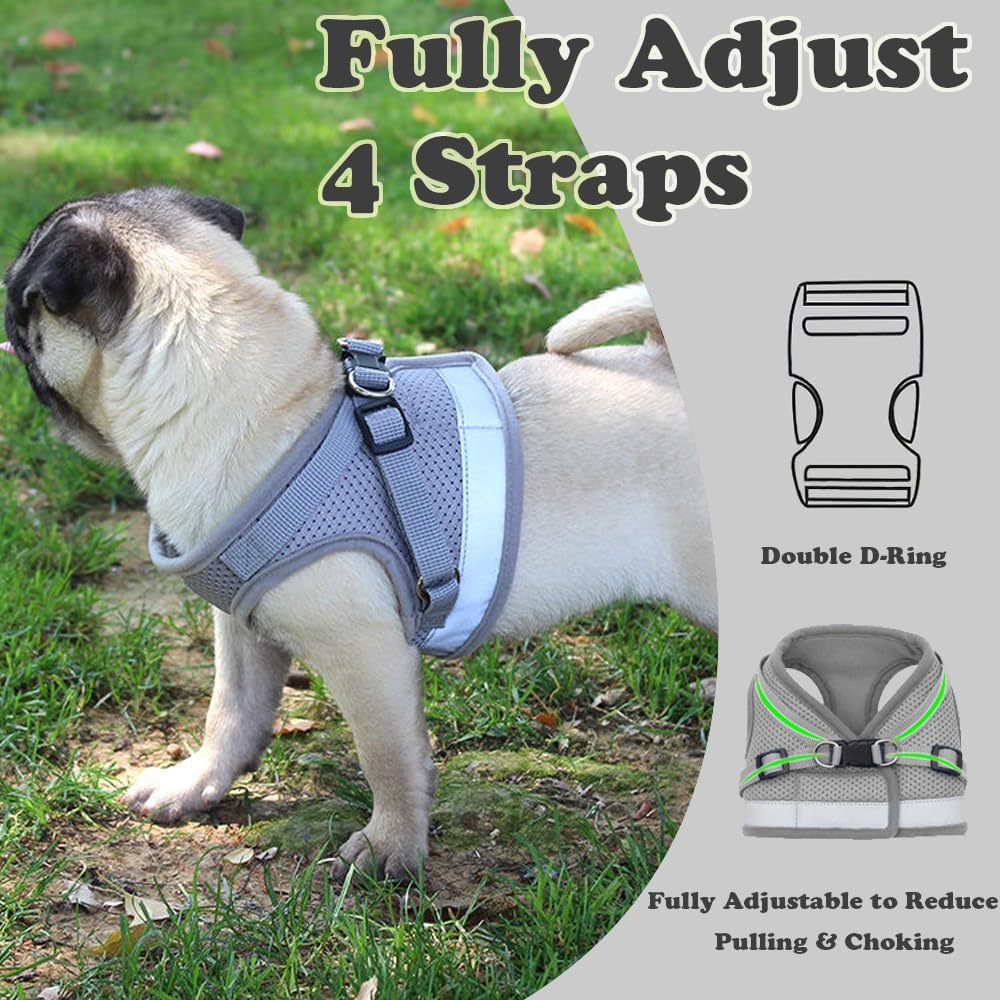 Furry Houdini's Escape-Proof Adventure Suit: The Ultimate Cat & Bunny Strollin’ Set for Tiny Terrors Under 3 Lbs!