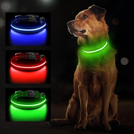 Light up Dog Collar, Rechargeable LED Dog Collar for Small Medium Large Dogs, Adjustable Dog Collar Light for the Dark with Waterproof, 3 Modes, Green-M