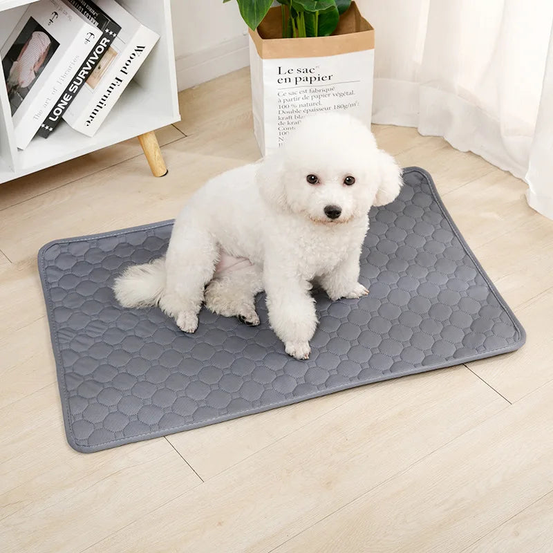 Paw-some Pee Pad: The Ultimate Urine-Soak & Snuggle Blanket for Your Four-Legged Goofball!