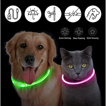 Glow-in-the-Dark Bling for Fido: The USB-Powered Disco Collar That Turns Your Pup into a Nighttime Superstar!