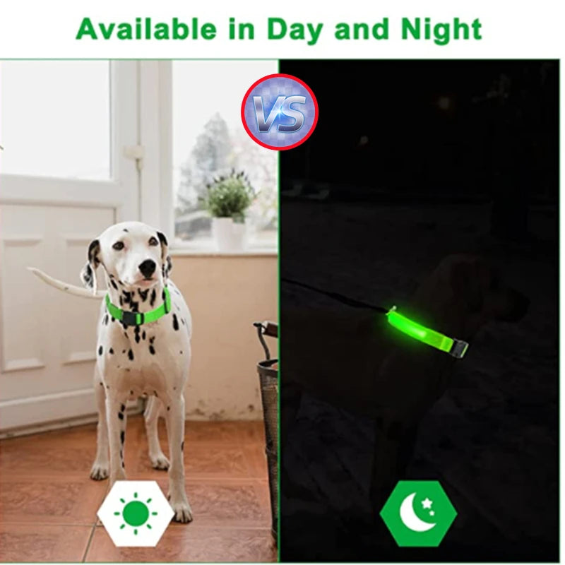 Glow-in-the-Dark Bling for Fido: The USB-Powered Disco Collar That Turns Your Pup into a Nighttime Superstar!