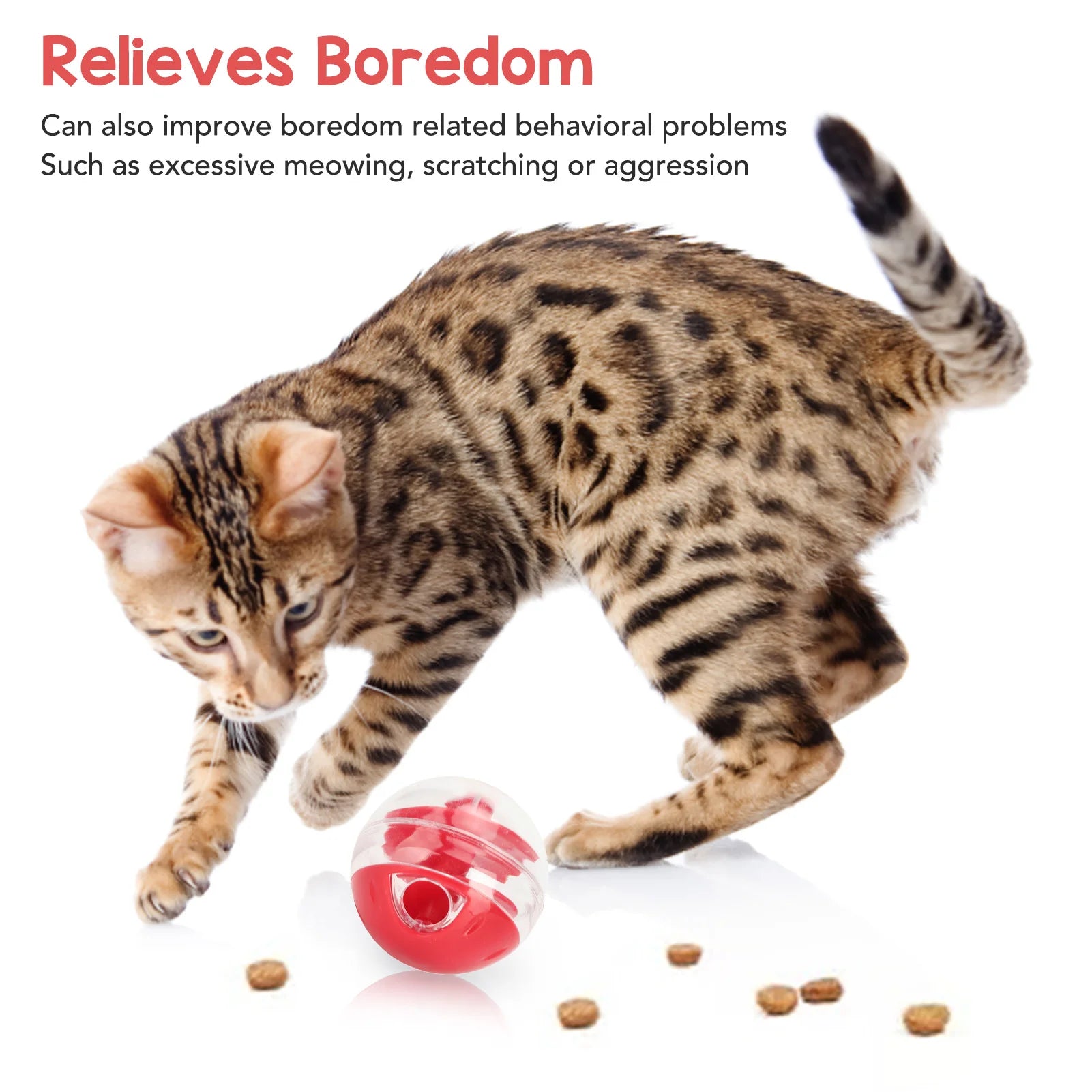 Feline Funball: The Ultimate Snack-tion Adventure for Your Picky Paws!