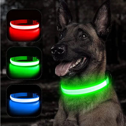 Glow-in-the-Dark Bling for Fido: The USB-Powered Disco Collar That Turns Your Pup into a Nighttime Superstar!