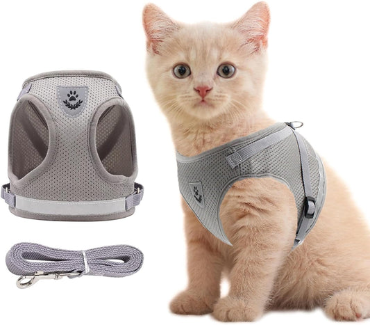 Furry Houdini's Escape-Proof Adventure Suit: The Ultimate Cat & Bunny Strollin’ Set for Tiny Terrors Under 3 Lbs!